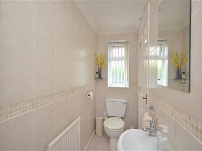 Picture 10